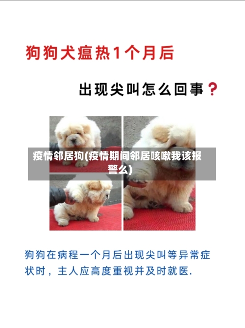 疫情邻居狗(疫情期间邻居咳嗽我该报警么)-第3张图片
