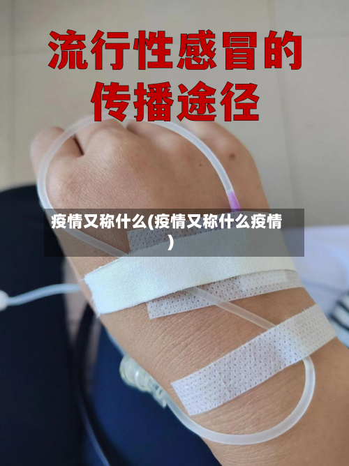 疫情又称什么(疫情又称什么疫情)-第3张图片