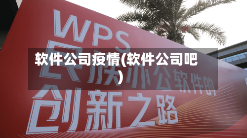 软件公司疫情(软件公司吧)