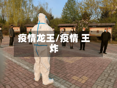 疫情龙王/疫情 王炸-第2张图片