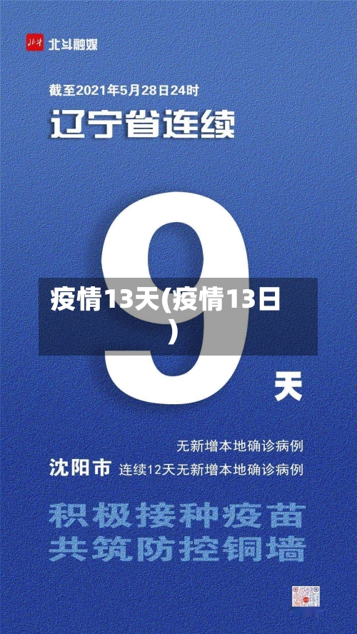 疫情13天(疫情13日)-第2张图片