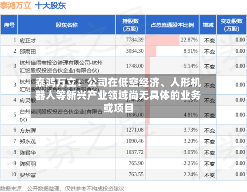 泰鸿万立：公司在低空经济、人形机器人等新兴产业领域尚无具体的业务或项目-第2张图片