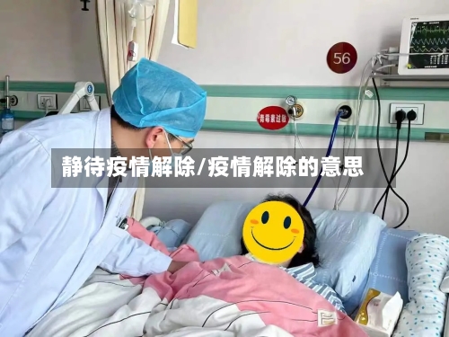 静待疫情解除/疫情解除的意思
