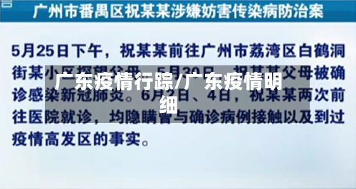 广东疫情行踪/广东疫情明细