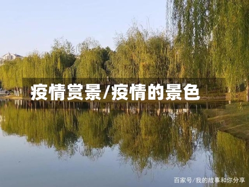 疫情赏景/疫情的景色-第2张图片