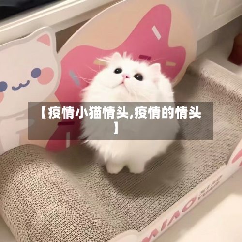 【疫情小猫情头,疫情的情头】
