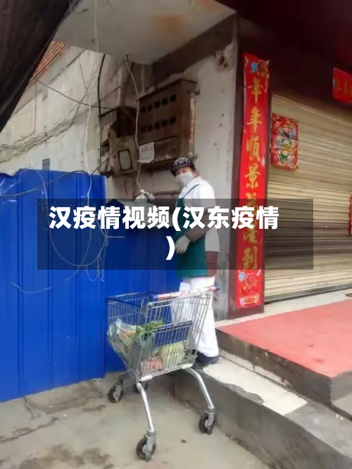 汉疫情视频(汉东疫情)