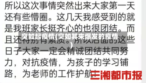 突如起疫情(突如其来爆发的疫情)