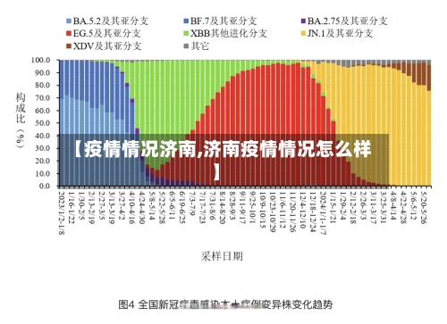 【疫情情况济南,济南疫情情况怎么样】