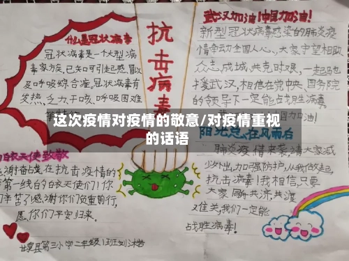 这次疫情对疫情的敬意/对疫情重视的话语