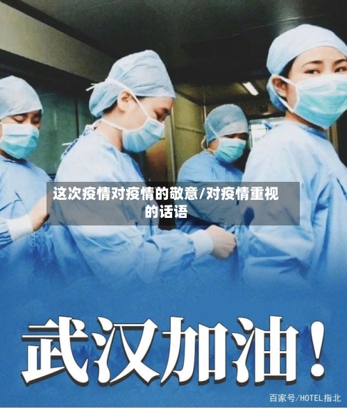 这次疫情对疫情的敬意/对疫情重视的话语-第2张图片