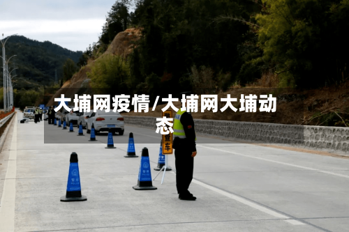 大埔网疫情/大埔网大埔动态