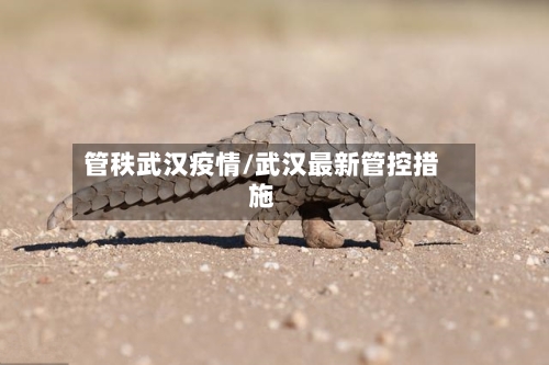 管秩武汉疫情/武汉最新管控措施-第3张图片