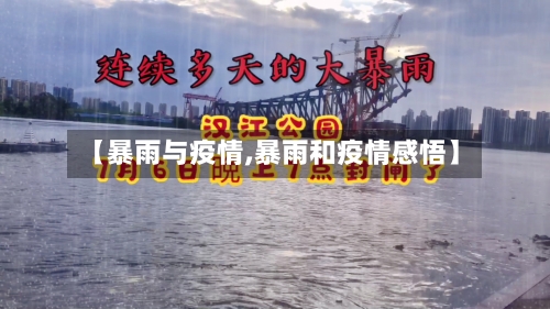 【暴雨与疫情,暴雨和疫情感悟】-第2张图片
