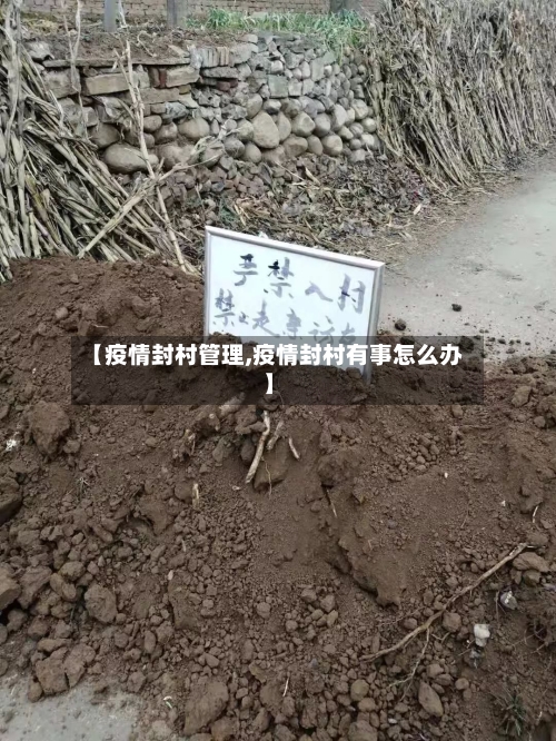 【疫情封村管理,疫情封村有事怎么办】