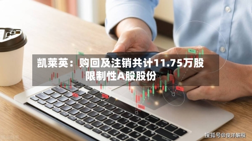 凯莱英：购回及注销共计11.75万股限制性A股股份-第2张图片