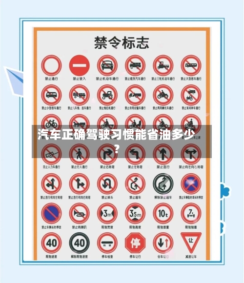 汽车正确驾驶习惯能省油多少？-第2张图片