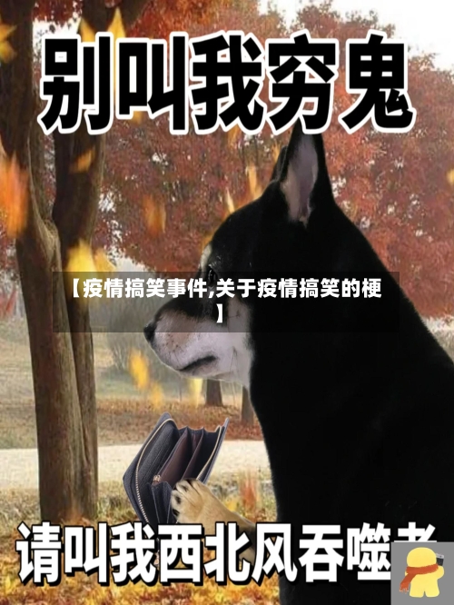 【疫情搞笑事件,关于疫情搞笑的梗】-第2张图片