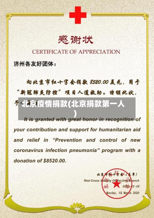 北京疫情捐款(北京捐款第一人)-第3张图片