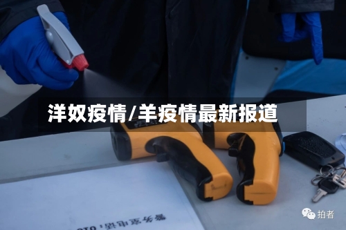 洋奴疫情/羊疫情最新报道-第2张图片