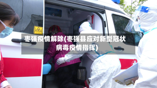 枣强疫情解除(枣强县应对新型冠状病毒疫情指挥)