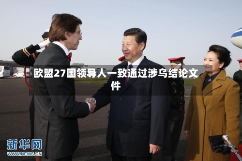 欧盟27国领导人一致通过涉乌结论文件-第2张图片