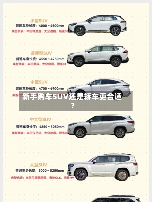 新手购车SUV还是轿车更合适？-第2张图片