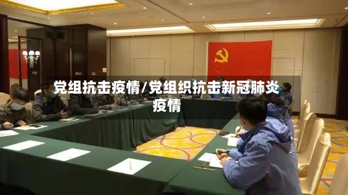 党组抗击疫情/党组织抗击新冠肺炎疫情-第2张图片