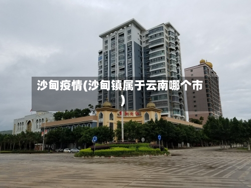 沙甸疫情(沙甸镇属于云南哪个市)-第3张图片
