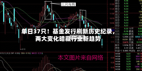 单日37只！基金发行刷新历史纪录	，两大变化暗藏行业新趋势-第2张图片