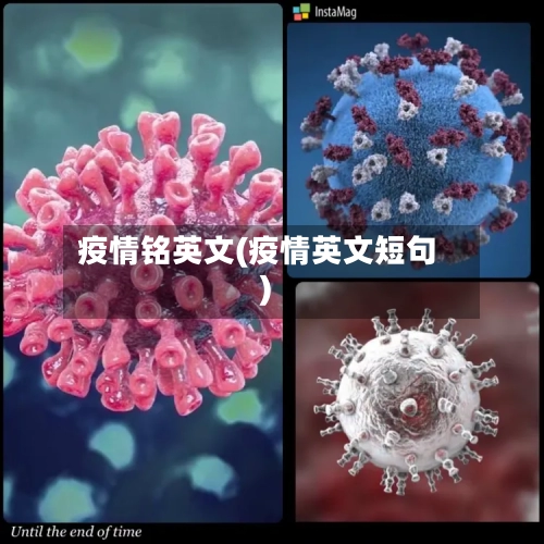 疫情铭英文(疫情英文短句)-第2张图片