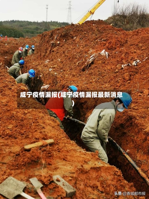 咸宁疫情漏报(咸宁疫情漏报最新消息)