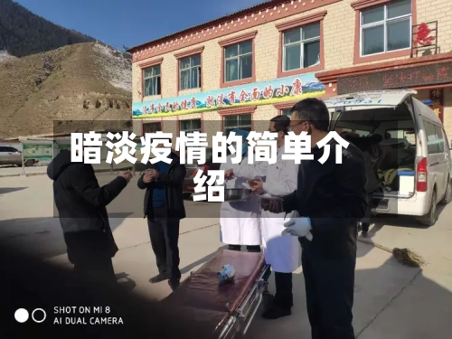 暗淡疫情的简单介绍