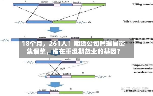 18个月，261人！期货公司管理层密集调整	，谁在重组期货业的基因？-第2张图片