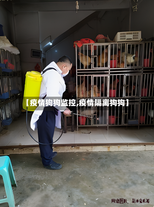 【疫情狗狗监控,疫情隔离狗狗】-第2张图片
