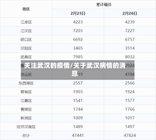 关注武汉的疫情/关于武汉病情的消息