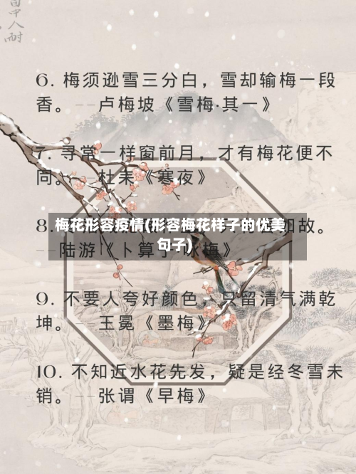 梅花形容疫情(形容梅花样子的优美句子)