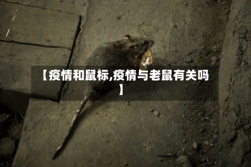 【疫情和鼠标,疫情与老鼠有关吗】