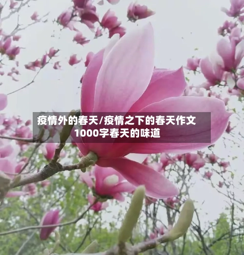 疫情外的春天/疫情之下的春天作文1000字春天的味道-第3张图片