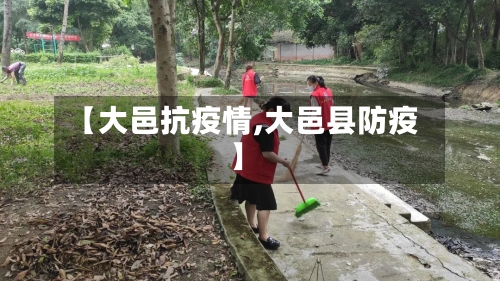 【大邑抗疫情,大邑县防疫】-第3张图片