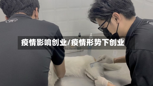 疫情影响创业/疫情形势下创业-第2张图片