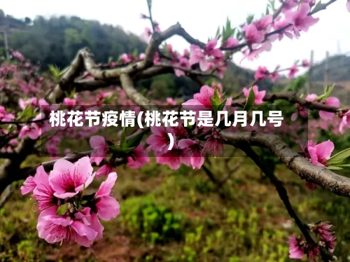 桃花节疫情(桃花节是几月几号)-第2张图片