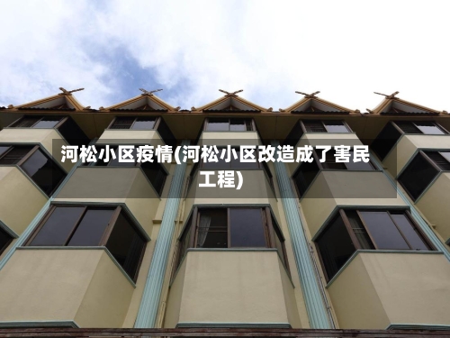 河松小区疫情(河松小区改造成了害民工程)-第2张图片