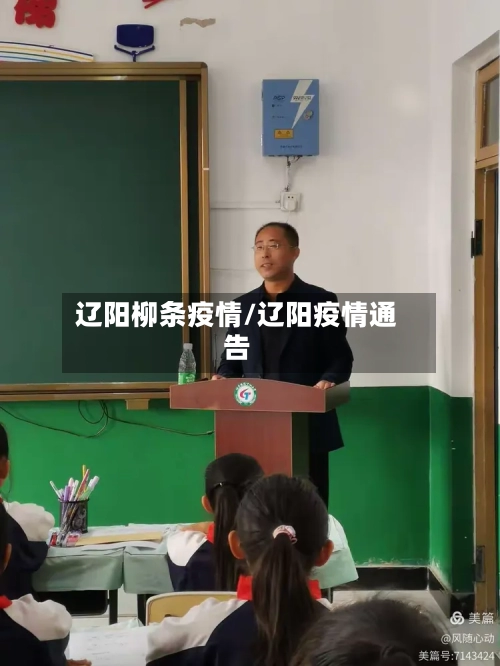 辽阳柳条疫情/辽阳疫情通告-第3张图片