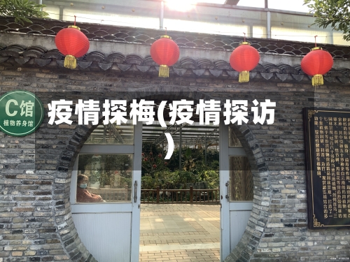 疫情探梅(疫情探访)-第2张图片