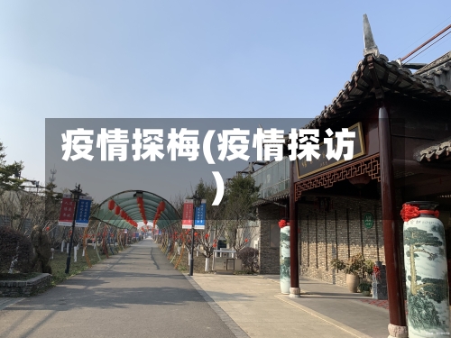 疫情探梅(疫情探访)-第3张图片