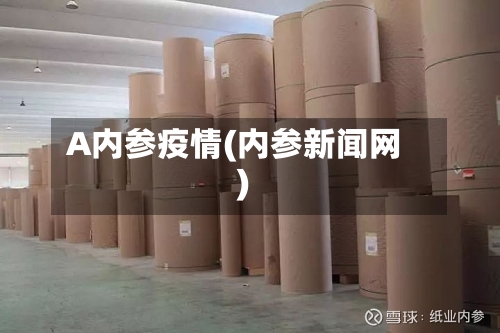 A内参疫情(内参新闻网)