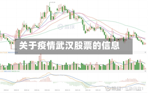 关于疫情武汉股票的信息-第3张图片