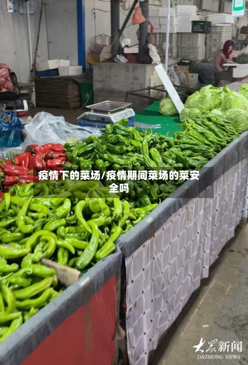 疫情下的菜场/疫情期间菜场的菜安全吗-第2张图片
