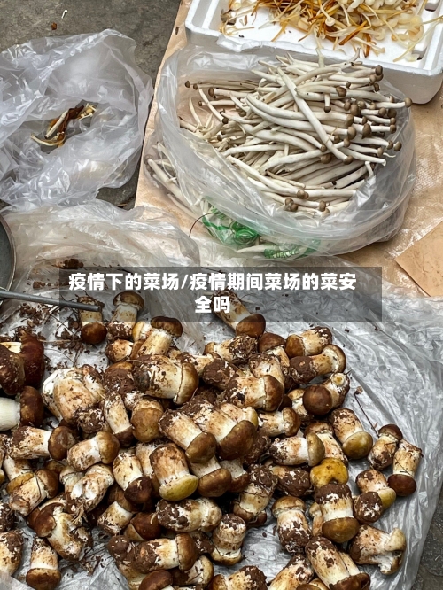 疫情下的菜场/疫情期间菜场的菜安全吗